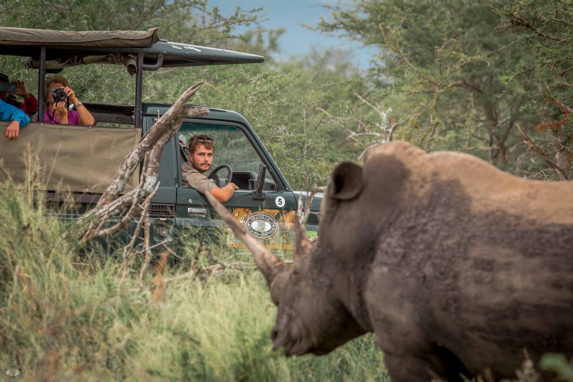 Ranger driving an open vehicle close to a white rhino in the bush, guests photographing from behind