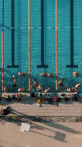 Overhead view of swimmers training in lanes